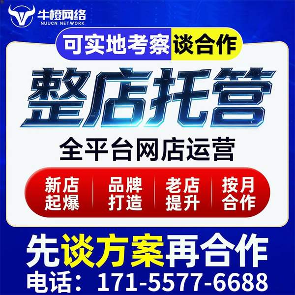 怒江电商代运营