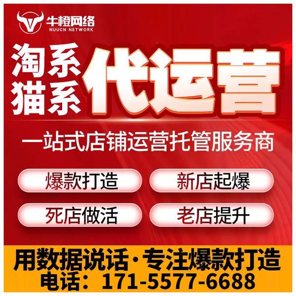 怒江电商代运营